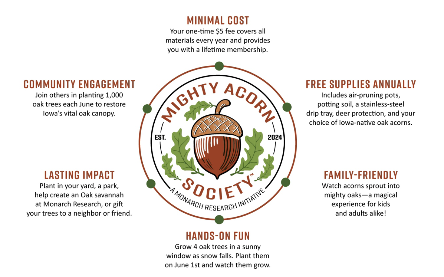 acorn様分です Bush Table Queen Acorn Squash - Thresh Seed Co.